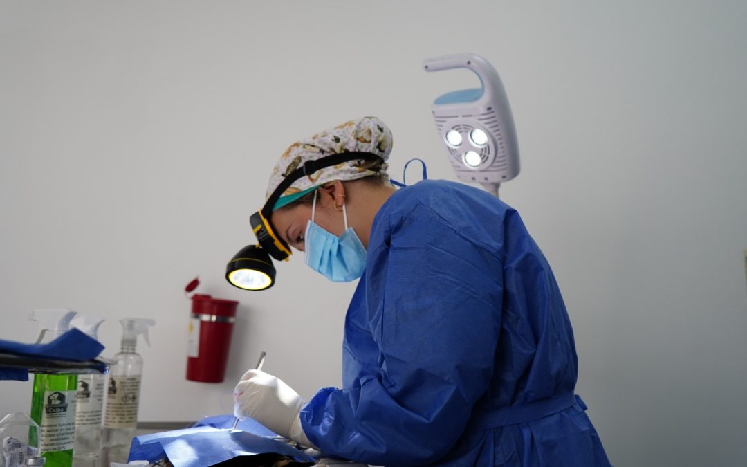 Rionegro apuesta por inversión en bienestar animal