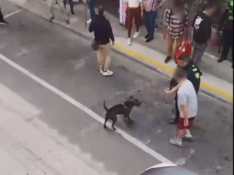 Investigan actuación policial tras muerte de perro en Rionegro