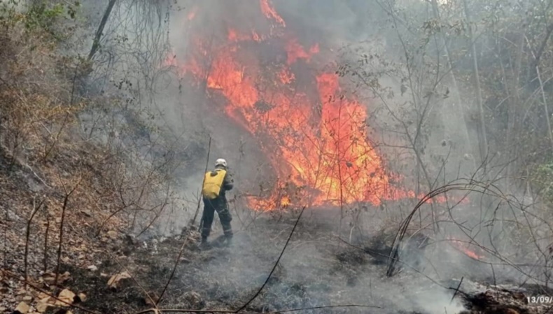 Bomberos del Oriente llegan al Tolima para atender incendios