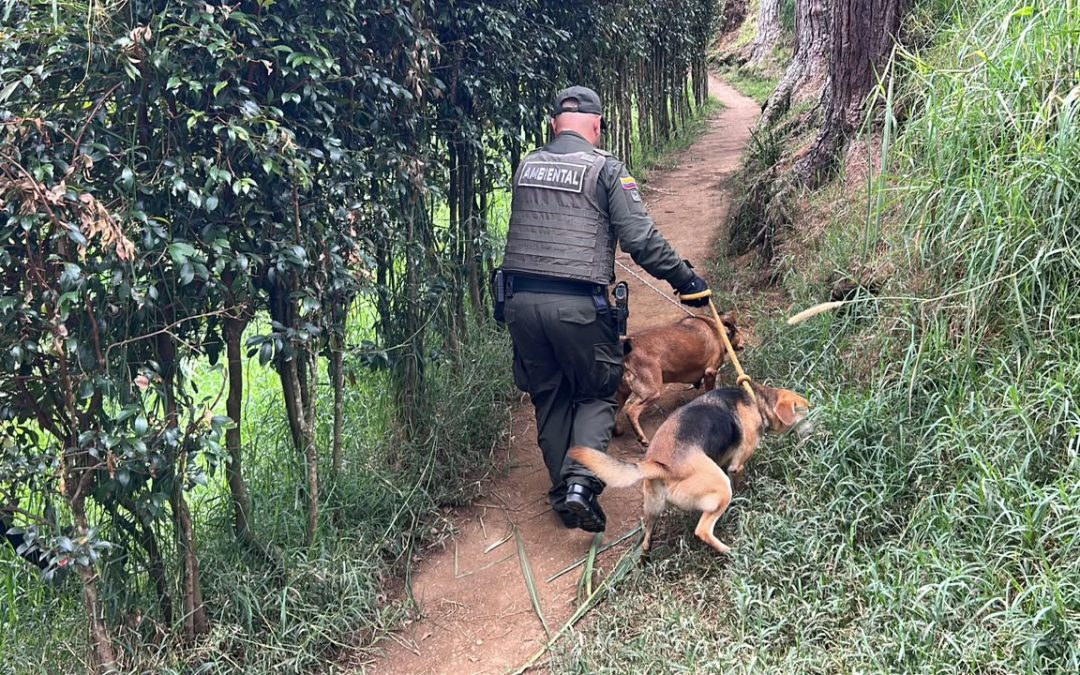 Guarne apuesta por el bienestar animal